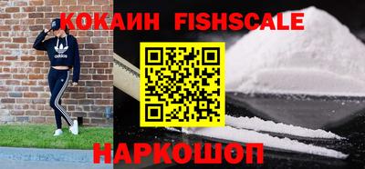 крисы Камень-на-Оби