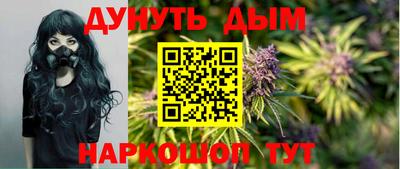 крисы Камень-на-Оби