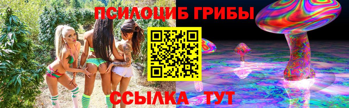 Псилоцибиновые грибы мухоморы Новочебоксарск