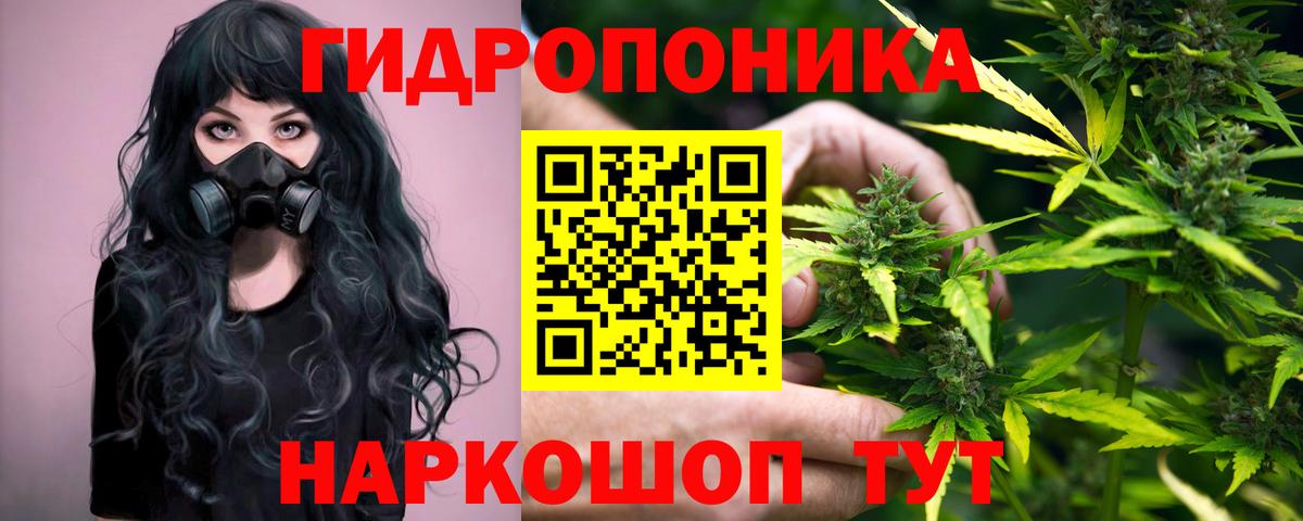 Конопля MAZAR  Шишки марихуана Amnesia  Вход с VPN  Новочебоксарск  Каннабис Ganja 
